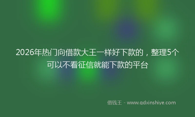 2026年热门向借款大王一样好下款的，整理5个可以不看征信就能下款的平台