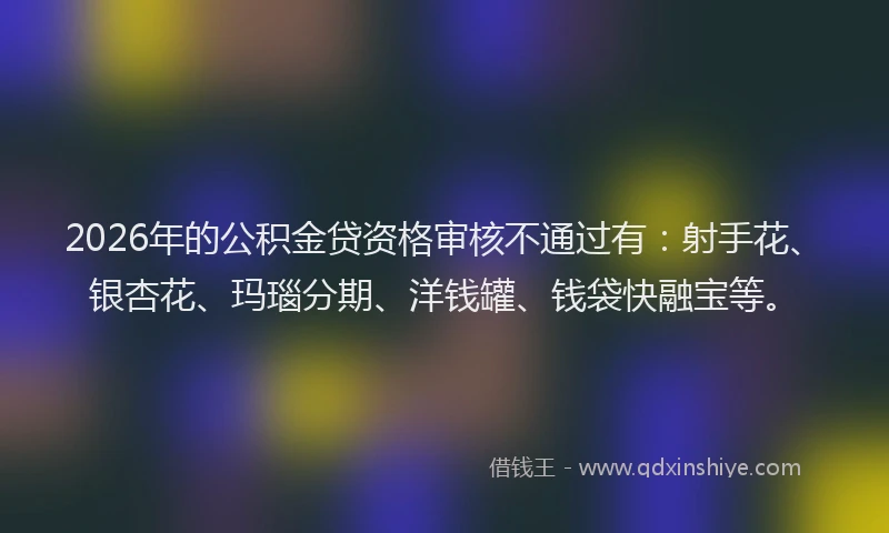 2026年的公积金贷资格审核不通过有：射手花、银杏花、玛瑙分期、洋钱罐、钱袋快融宝等。