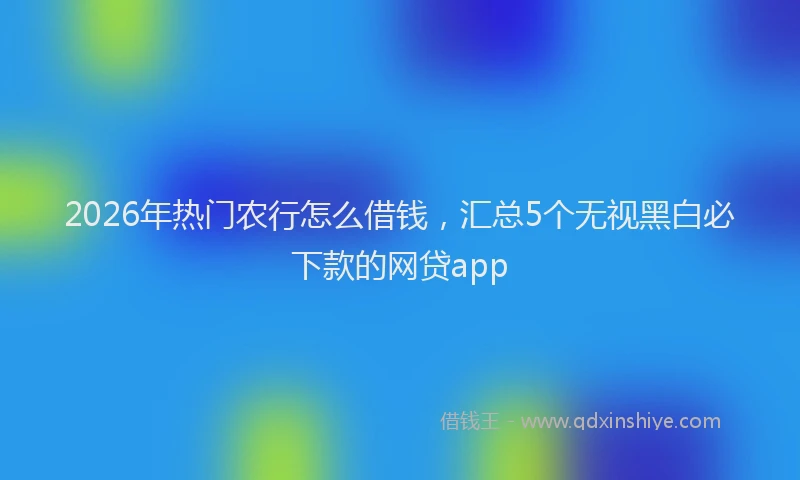 2026年热门农行怎么借钱，汇总5个无视黑白必下款的网贷app