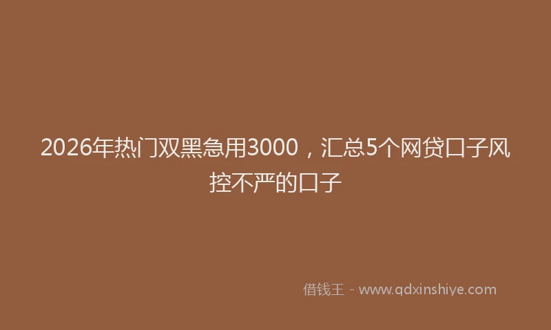 2026年热门双黑急用3000，汇总5个网贷口子风控不严的口子