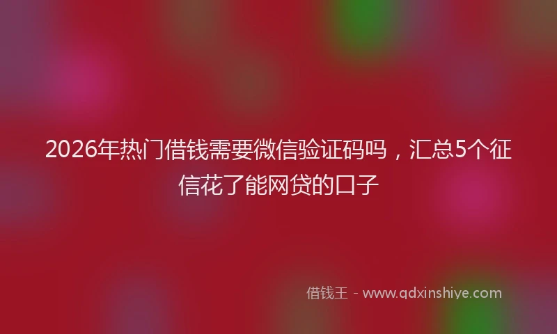 2026年热门借钱需要微信验证码吗，汇总5个征信花了能网贷的口子
