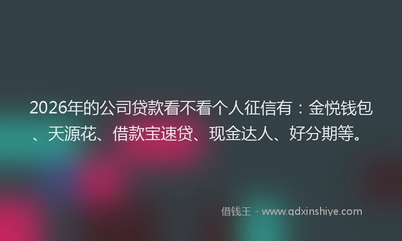 2026年的公司贷款看不看个人征信有：金悦钱包、天源花、借款宝速贷、现金达人、好分期等。