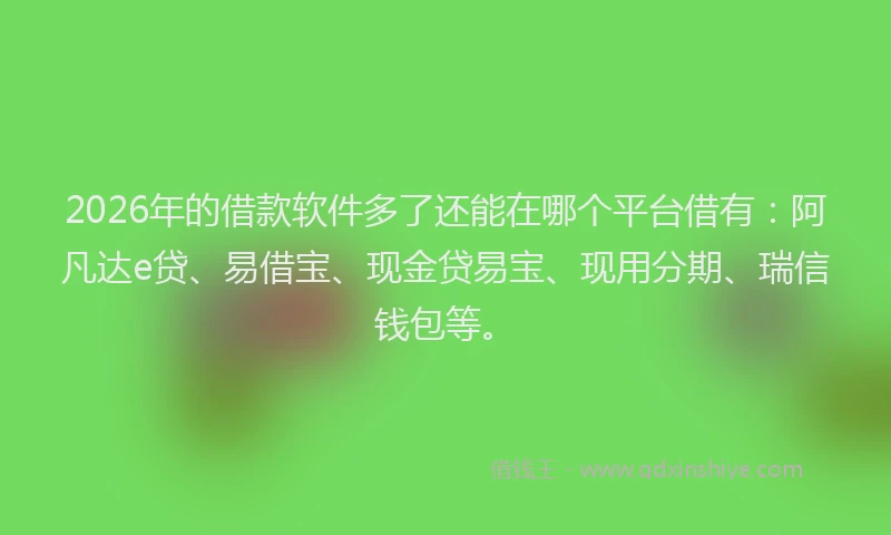 2026年的借款软件多了还能在哪个平台借有：阿凡达e贷、易借宝、现金贷易宝、现用分期、瑞信钱包等。