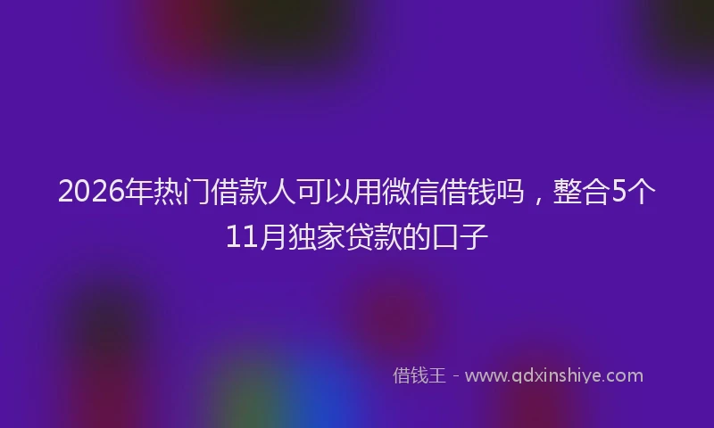 2026年热门借款人可以用微信借钱吗，整合5个11月独家贷款的口子