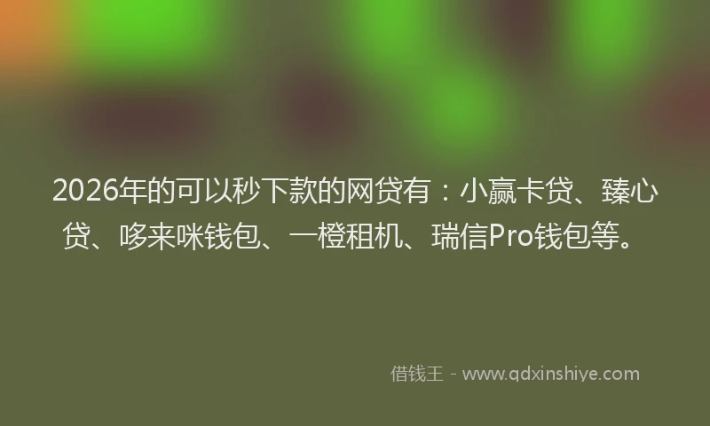 2026年的可以秒下款的网贷有：小赢卡贷、臻心贷、哆来咪钱包、一橙租机、瑞信Pro钱包等。