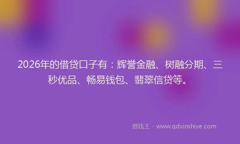2026年的借贷口子有：辉誉金融、树融分期、三秒优品、畅易钱包、翡翠信贷等。