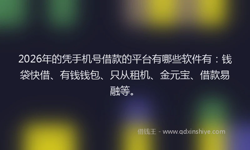 2026年的凭手机号借款的平台有哪些软件有：钱袋快借、有钱钱包、只从租机、金元宝、借款易融等。
