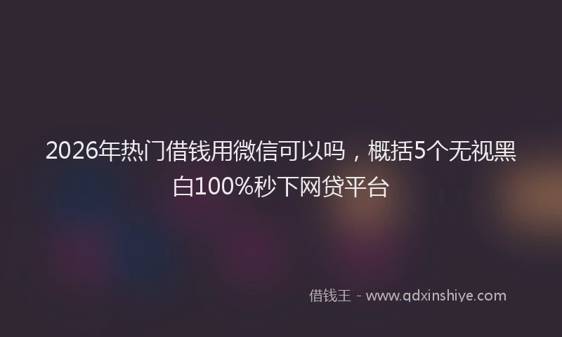 2026年热门借钱用微信可以吗，概括5个无视黑白100%秒下网贷平台