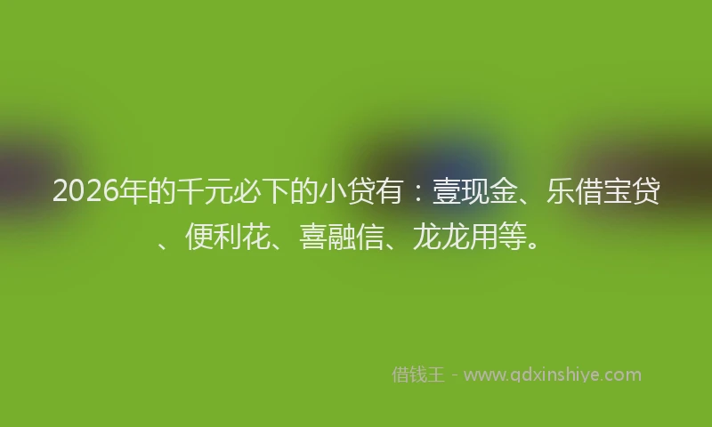 2026年的千元必下的小贷有：壹现金、乐借宝贷、便利花、喜融信、龙龙用等。