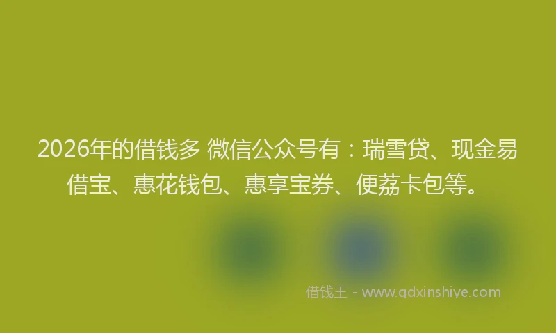 2026年的借钱多 微信公众号有：瑞雪贷、现金易借宝、惠花钱包、惠享宝券、便荔卡包等。
