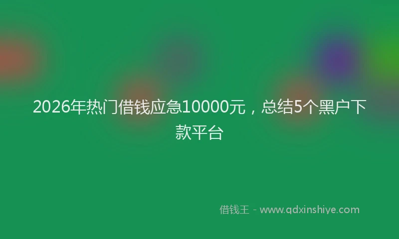 2026年热门借钱应急10000元，总结5个黑户下款平台