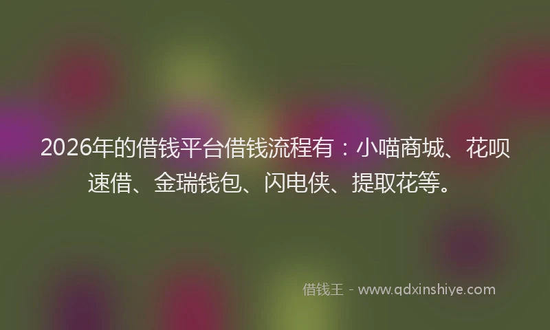 2026年的借钱平台借钱流程有：小喵商城、花呗速借、金瑞钱包、闪电侠、提取花等。