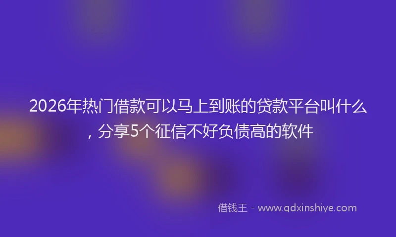 2026年热门借款可以马上到账的贷款平台叫什么，分享5个征信不好负债高的软件