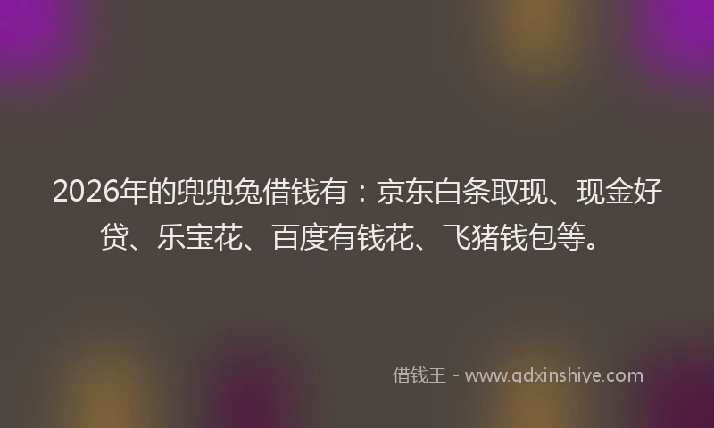 2026年的兜兜兔借钱有：京东白条取现、现金好贷、乐宝花、百度有钱花、飞猪钱包等。