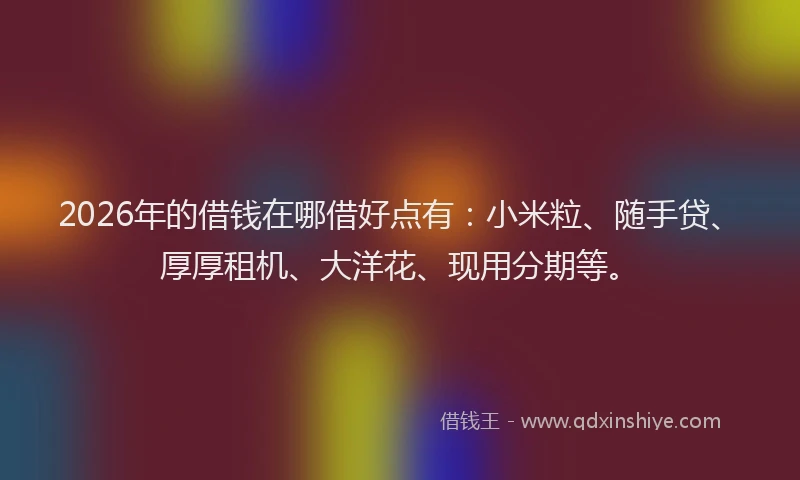 2026年的借钱在哪借好点有：小米粒、随手贷、厚厚租机、大洋花、现用分期等。