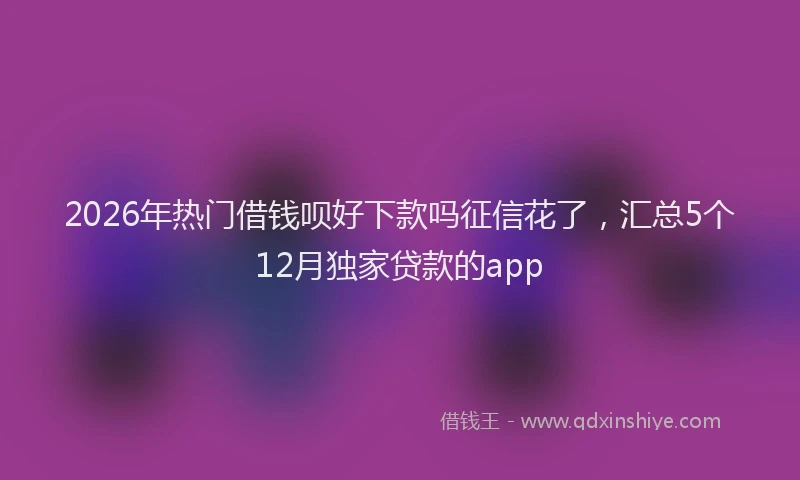 2026年热门借钱呗好下款吗征信花了，汇总5个12月独家贷款的app