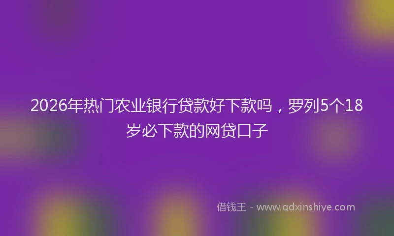 2026年热门农业银行贷款好下款吗，罗列5个18岁必下款的网贷口子