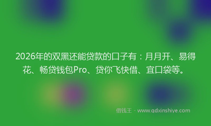 2026年的双黑还能贷款的口子有：月月开、易得花、畅贷钱包Pro、贷你飞快借、宜口袋等。