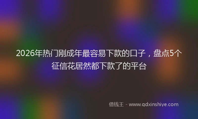 2026年热门刚成年最容易下款的口子，盘点5个征信花居然都下款了的平台