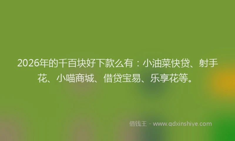 2026年的千百块好下款么有：小油菜快贷、射手花、小喵商城、借贷宝易、乐享花等。