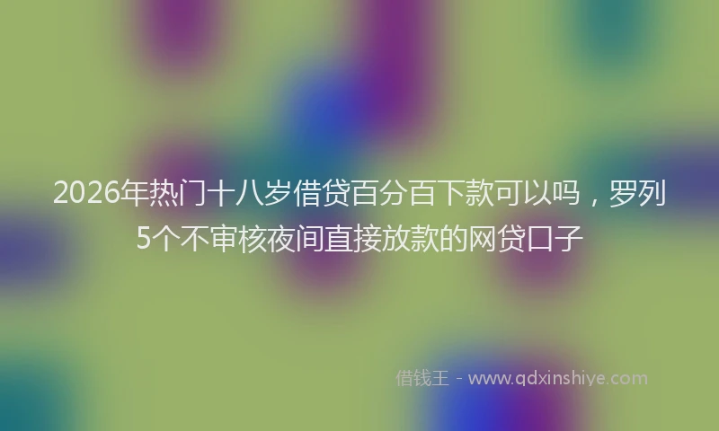2026年热门十八岁借贷百分百下款可以吗，罗列5个不审核夜间直接放款的网贷口子