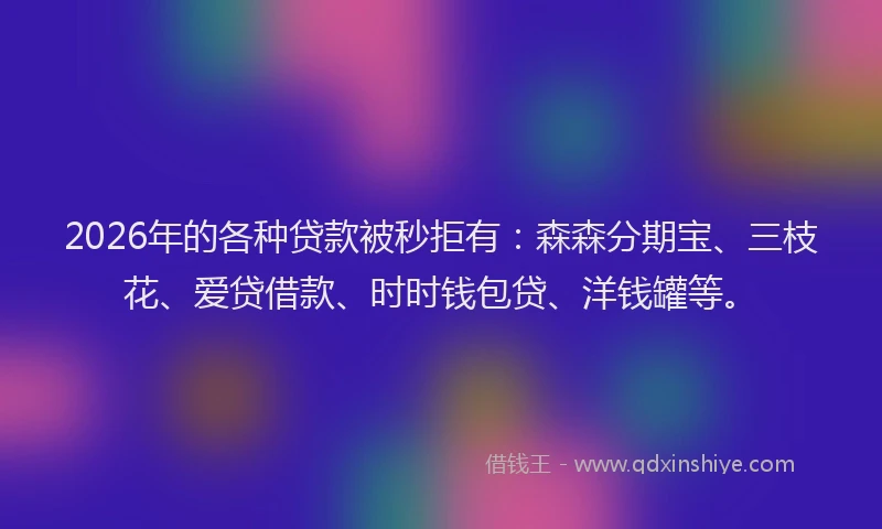 2026年的各种贷款被秒拒有：森森分期宝、三枝花、爱贷借款、时时钱包贷、洋钱罐等。
