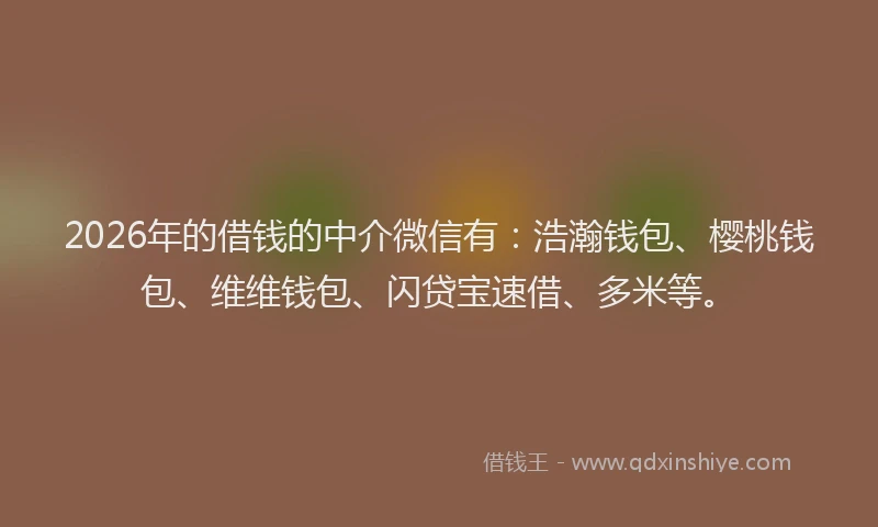 2026年的借钱的中介微信有：浩瀚钱包、樱桃钱包、维维钱包、闪贷宝速借、多米等。