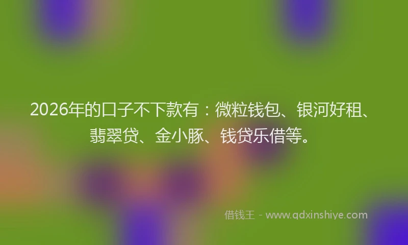 2026年的口子不下款有：微粒钱包、银河好租、翡翠贷、金小豚、钱贷乐借等。