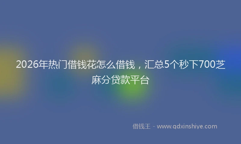 2026年热门借钱花怎么借钱，汇总5个秒下700芝麻分贷款平台