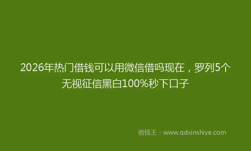 2026年热门借钱可以用微信借吗现在，罗列5个无视征信黑白100%秒下口子