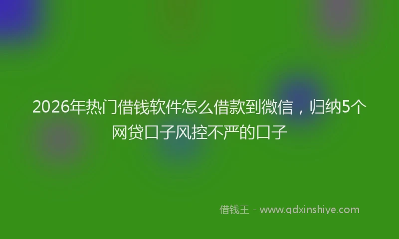2026年热门借钱软件怎么借款到微信，归纳5个网贷口子风控不严的口子