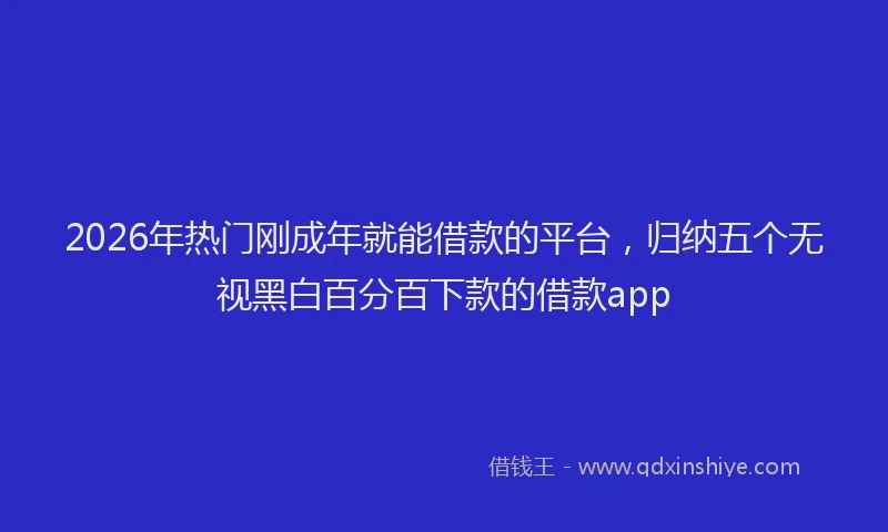 2026年热门刚成年就能借款的平台，归纳五个无视黑白百分百下款的借款app