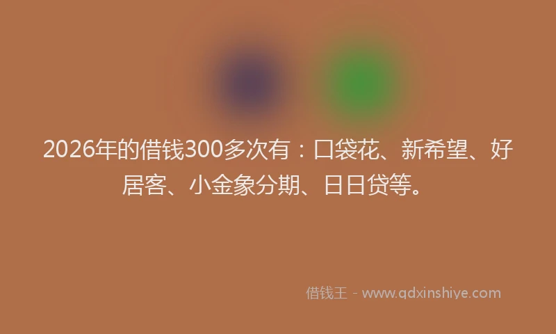 2026年的借钱300多次有：口袋花、新希望、好居客、小金象分期、日日贷等。