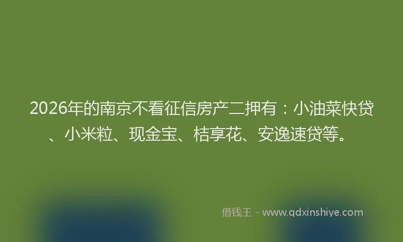 2026年的南京不看征信房产二押有：小油菜快贷、小米粒、现金宝、桔享花、安逸速贷等。