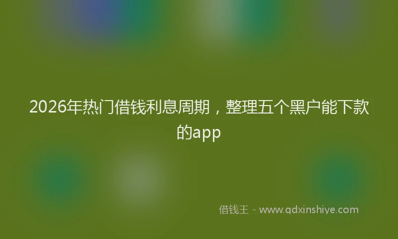 2026年热门借钱利息周期，整理五个黑户能下款的app