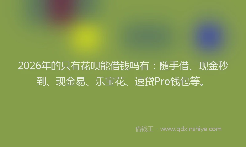 2026年的只有花呗能借钱吗有：随手借、现金秒到、现金易、乐宝花、速贷Pro钱包等。