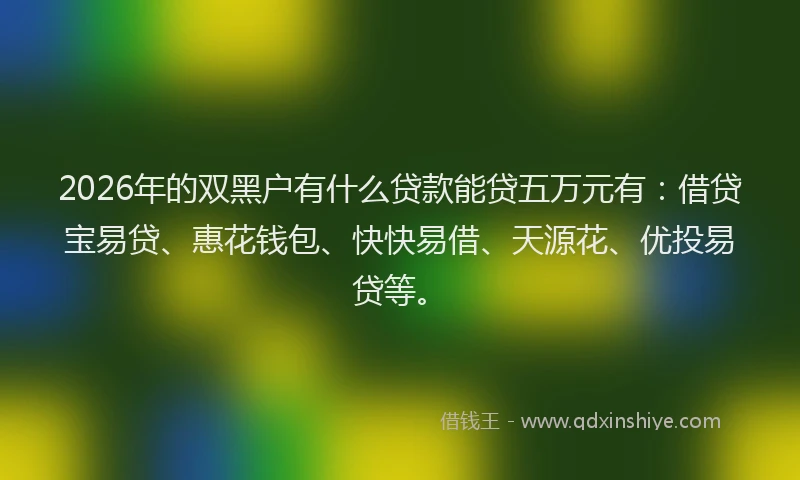 2026年的双黑户有什么贷款能贷五万元有：借贷宝易贷、惠花钱包、快快易借、天源花、优投易贷等。