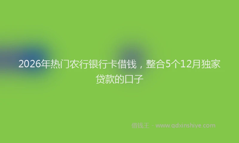 2026年热门农行银行卡借钱，整合5个12月独家贷款的口子