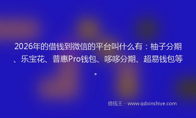2026年的借钱到微信的平台叫什么有：柚子分期、乐宝花、普惠Pro钱包、哆哆分期、超易钱包等。