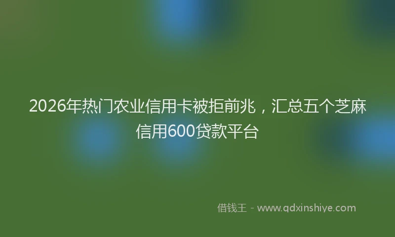 2026年热门农业信用卡被拒前兆，汇总五个芝麻信用600贷款平台