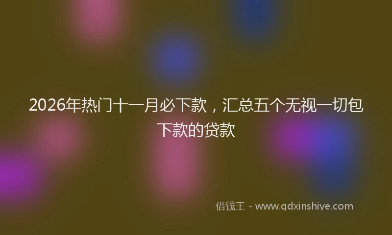 2026年热门十一月必下款，汇总五个无视一切包下款的贷款