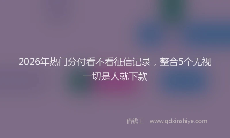 2026年热门分付看不看征信记录，整合5个无视一切是人就下款