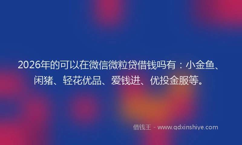 2026年的可以在微信微粒贷借钱吗有：小金鱼、闲猪、轻花优品、爱钱进、优投金服等。