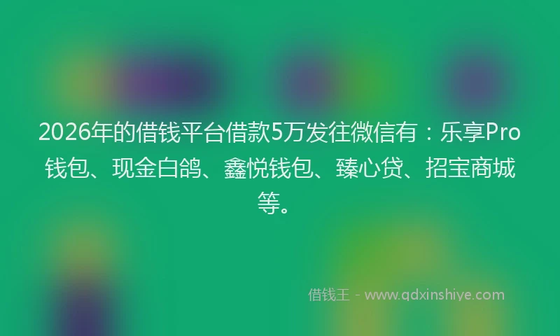 2026年的借钱平台借款5万发往微信有：乐享Pro钱包、现金白鸽、鑫悦钱包、臻心贷、招宝商城等。