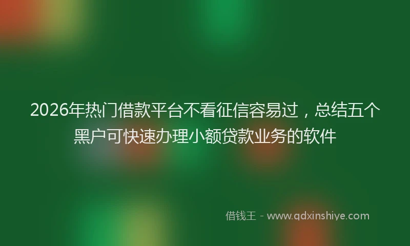 2026年热门借款平台不看征信容易过，总结五个黑户可快速办理小额贷款业务的软件