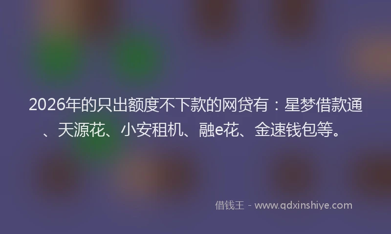 2026年的只出额度不下款的网贷有：星梦借款通、天源花、小安租机、融e花、金速钱包等。
