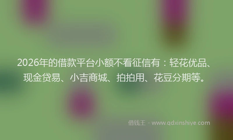 2026年的借款平台小额不看征信有：轻花优品、现金贷易、小吉商城、拍拍用、花豆分期等。