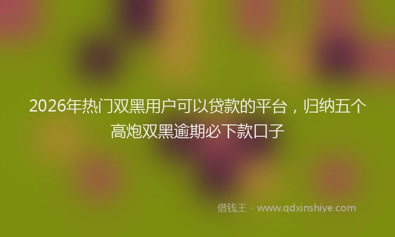 2026年热门双黑用户可以贷款的平台，归纳五个高炮双黑逾期必下款口子
