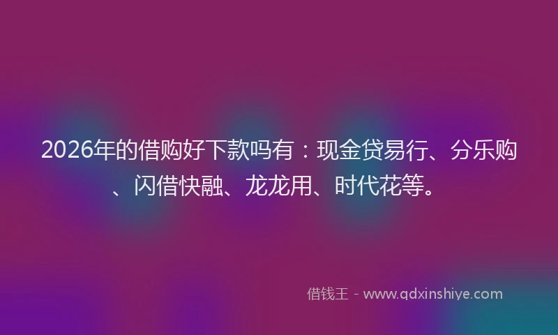 2026年的借购好下款吗有：现金贷易行、分乐购、闪借快融、龙龙用、时代花等。