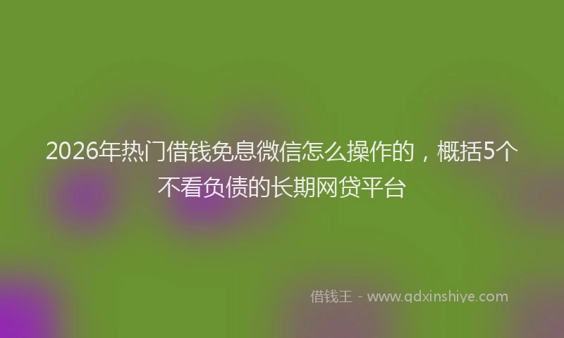 2026年热门借钱免息微信怎么操作的，概括5个不看负债的长期网贷平台